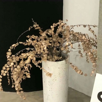 兽设插画构图技巧兽圈社群